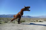 PICTURES/Borrego Springs Sculptures - Dinosaurs & Dragon/t_P1000440.JPG